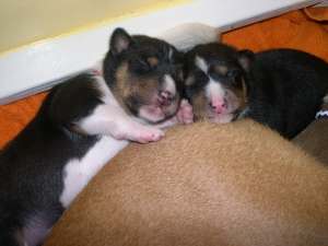Brothers cuddling with mommy