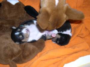 DSCN1437.jpg