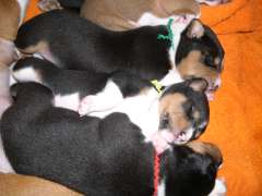 DSCN1474.jpg