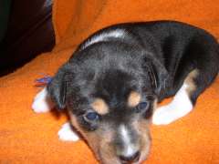 DSCN1487.jpg