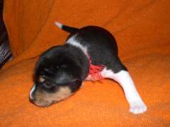 DSCN1494.jpg