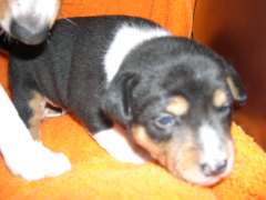 DSCN1505.jpg