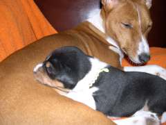 DSCN1521.jpg