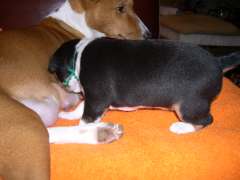 DSCN1554.jpg