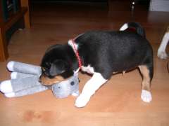 playing is fun