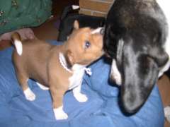DSCN1670.jpg