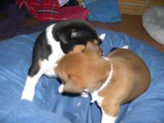 DSCN1689.jpg