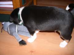 DSCN1690.jpg