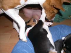 Red boy wrestlin' with mommy