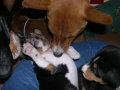 Red boy playing with mommy