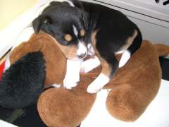 DSCN1718.jpg