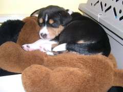DSCN1719.jpg