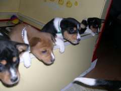 We want out!!!