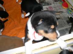 DSCN1726.jpg