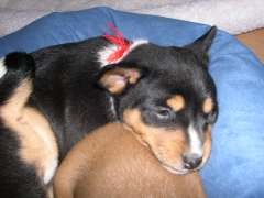 DSCN1728.jpg
