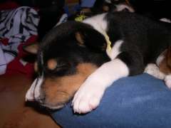 DSCN1731.jpg
