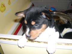 I want out!