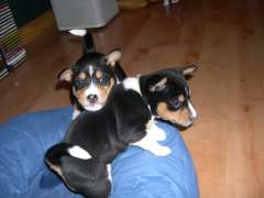 DSCN1749.jpg