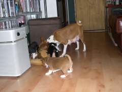 Playin' with mommy