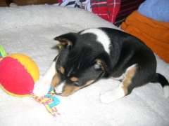 DSCN1756.jpg