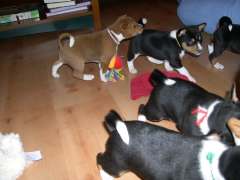 DSCN1760.jpg