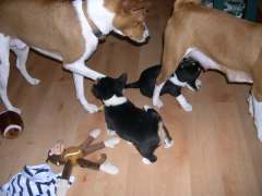 DSCN1780.jpg