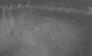 XRay_Dec23.jpg
