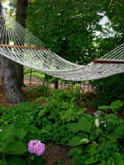 Hammock2.jpg