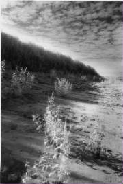 river.jpg