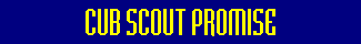 cub_scout_promise_animated.gif