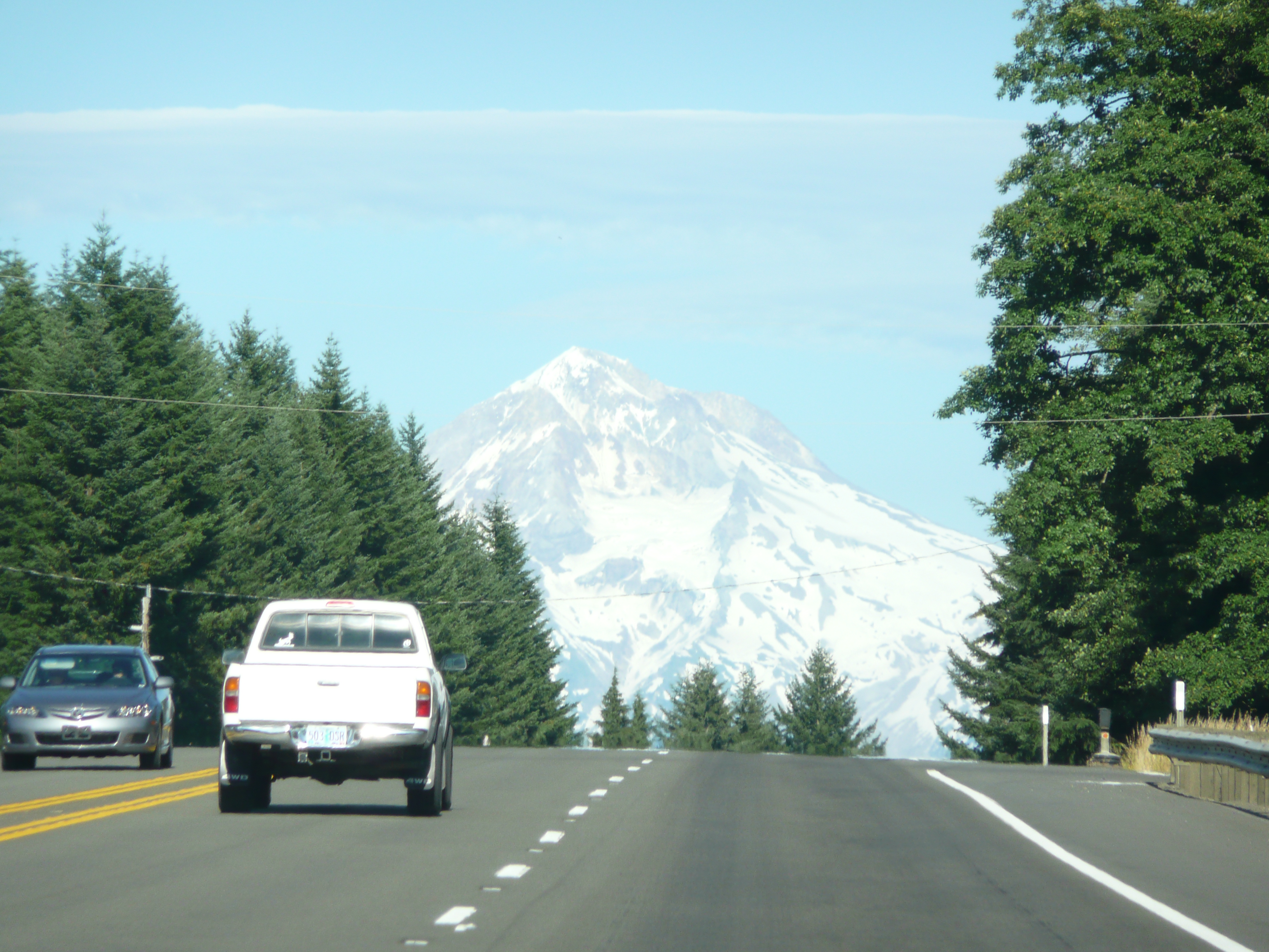 Mt Hood View