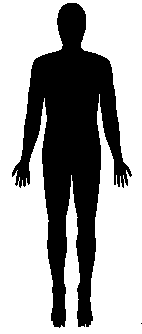 Human Body Map