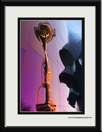 purplehaze-emp2005-hr.jpg
