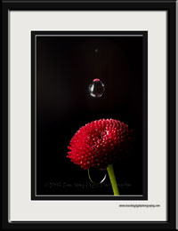 redflowerdrop.jpg