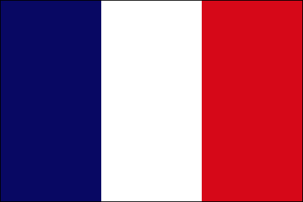 paris national flag