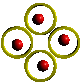 adult links