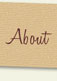 About Washington Creek Design