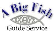 bigfish_logo.gif