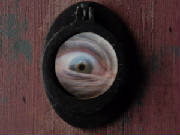 cap367.jpg