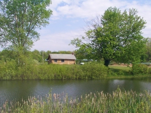 cabin.jpg