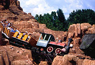 Train at Disneyworld