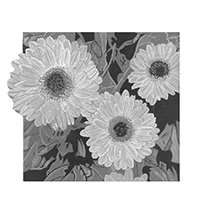 greyscale flowers thumbnail
