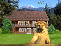House with landscape and dog