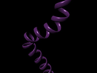  Coiled Cord built in Maya 6.5