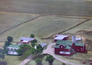 greenroof.jpg