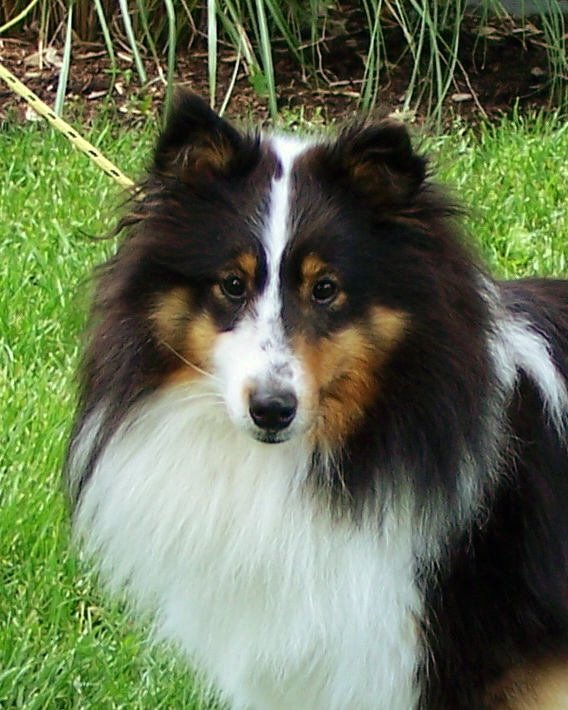 100_8297.JPG