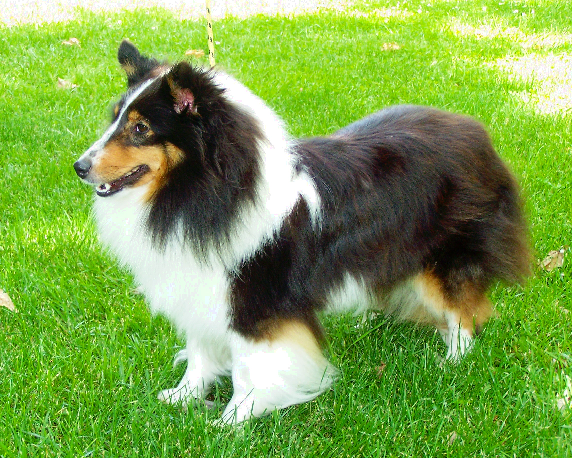 100_8310.JPG