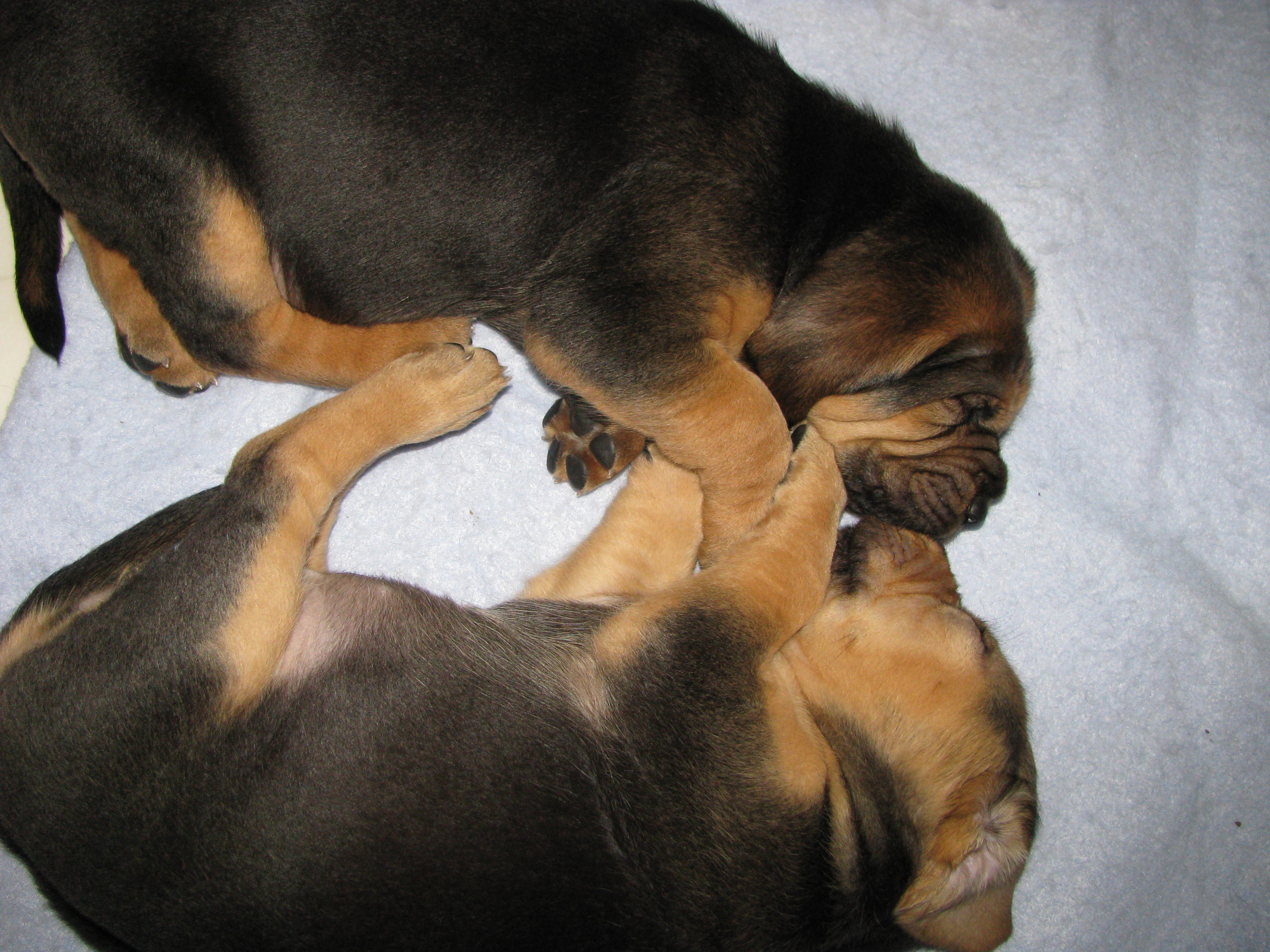 sleepytime.jpg