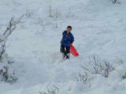 2005_1231SherNY0012.jpg