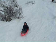 2005_1231SherNY0013.jpg